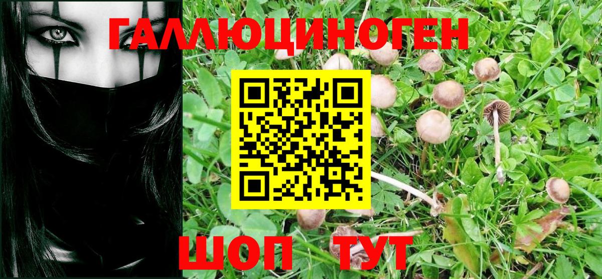 Нижний Тагил  Галлюциногенные грибы GOLDEN TEACHER  Вход с VPN  Псилоцибиновые грибы GOLDEN TEACHER 
